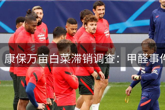 康保万亩白菜滞销调查：甲醛事件冲击白菜产业链