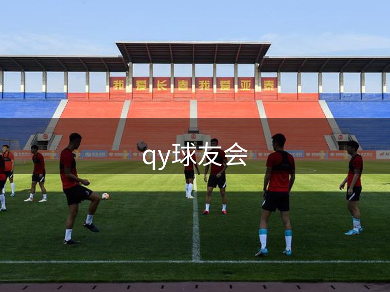 了解qy球友会